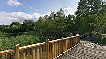 Volkspark Hasenheide - Brücke am See Volkspark Hasenheide - Brücke am See